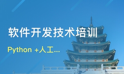 成都软件开发技术